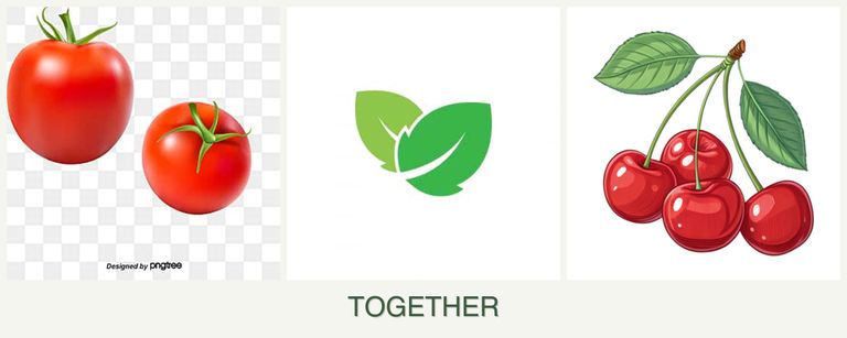Can you plant tomatoes, mint and cherries together?