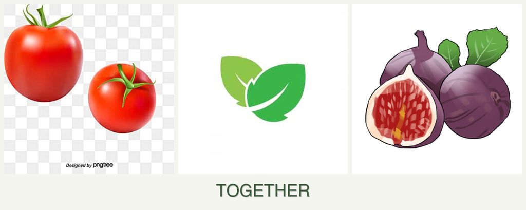 Can you plant tomatoes, mint and figs together?