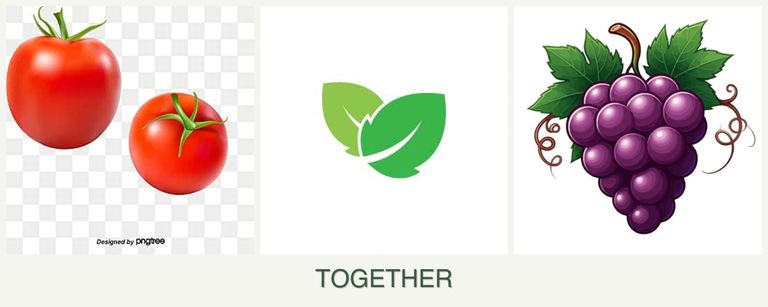 Can you plant tomatoes, mint and grapes together?