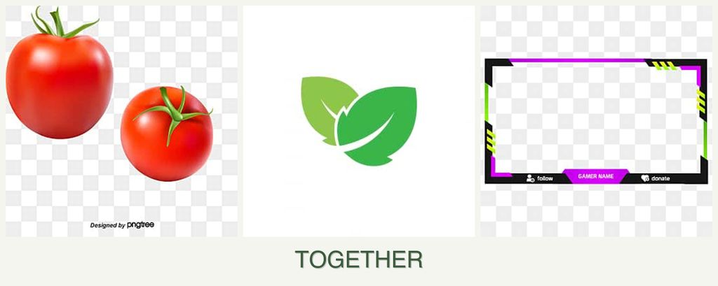 Can you plant tomatoes, mint and limes together?