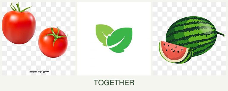 Can you plant tomatoes, mint and melons together?