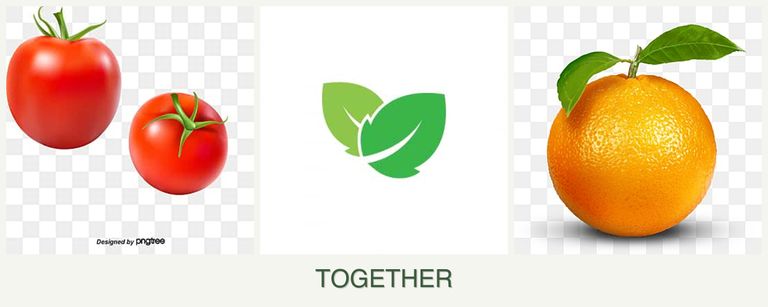 Can you plant tomatoes, mint and oranges together?
