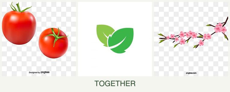 Can you plant tomatoes, mint and peaches together?