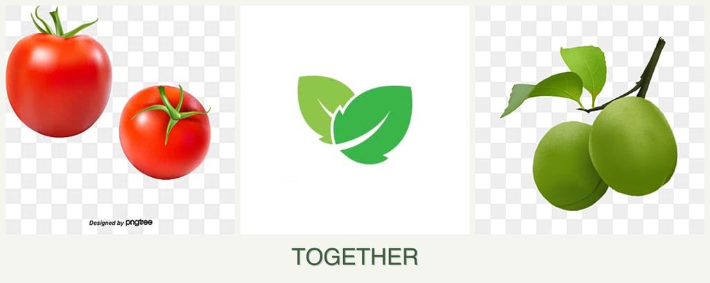Can you plant tomatoes, mint and plums together?