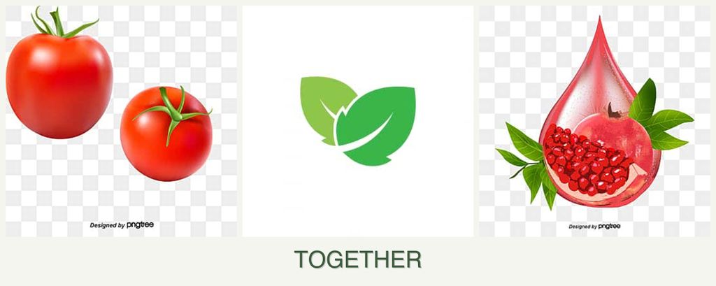 Can you plant tomatoes, mint and pomegranates together?