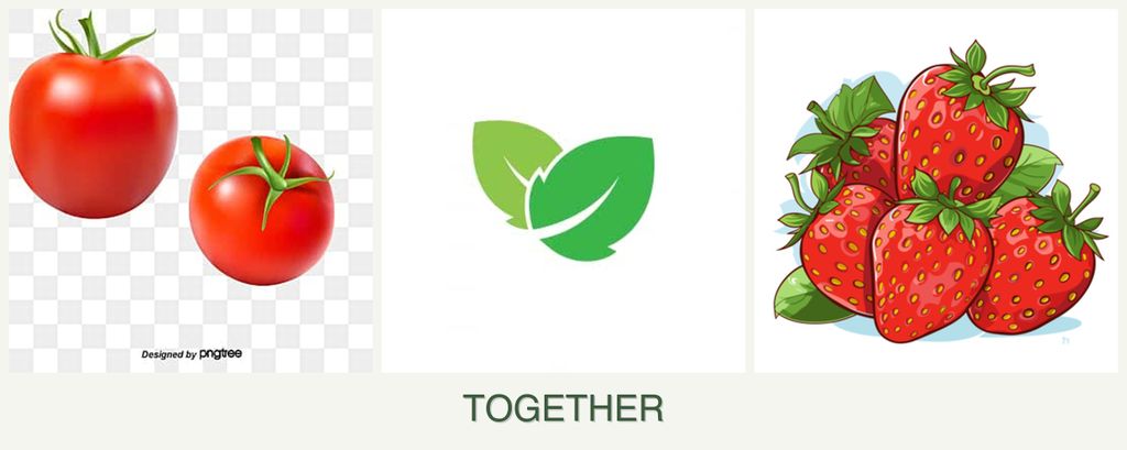 Can you plant tomatoes, mint and strawberries together?