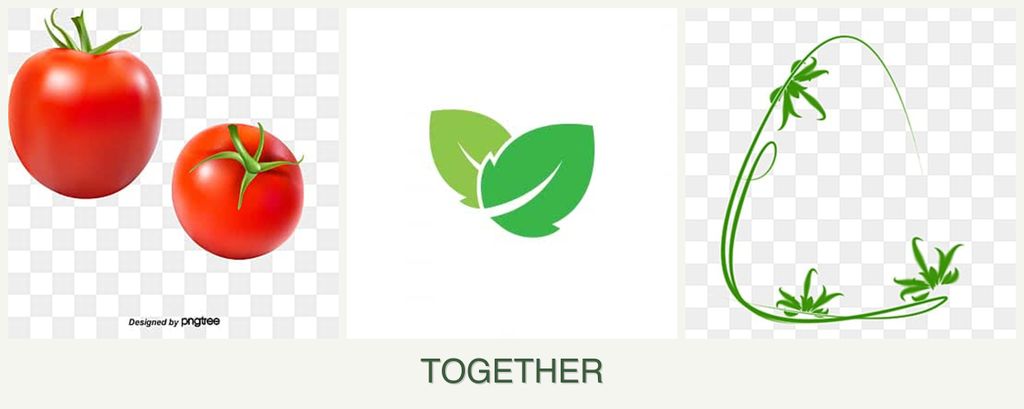 Can you plant tomatoes, mint and tarragon together?