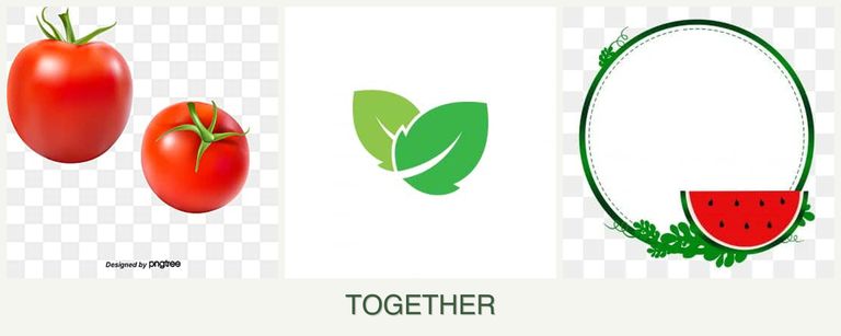 Can you plant tomatoes, mint and watermelons together?