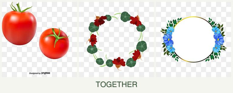 Can you plant tomatoes, nasturtiums and zinnias together?