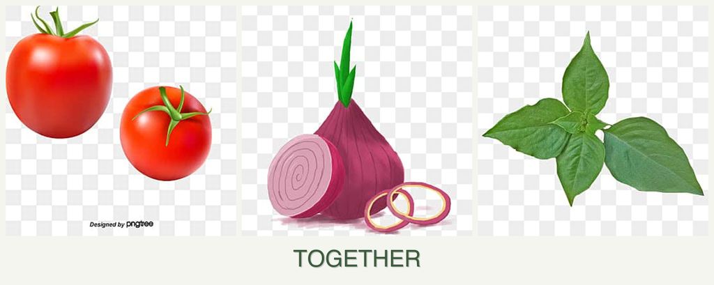Can you plant tomatoes, onions and basil together?