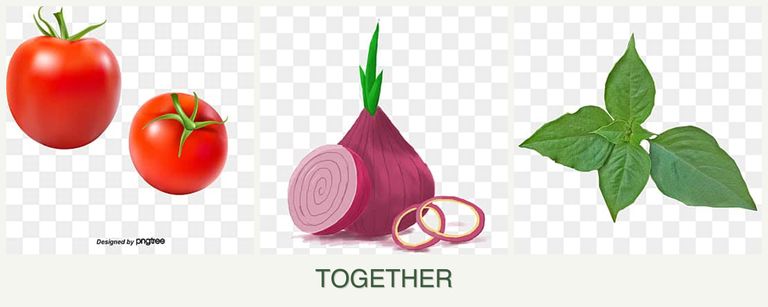 Can you plant tomatoes, onions and basil together?