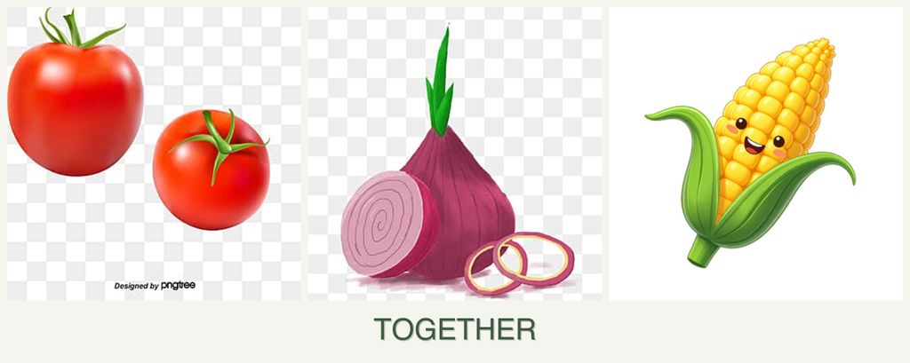 Can you plant tomatoes, onions and corn together?