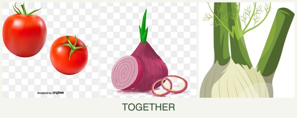 Can you plant tomatoes, onions and fennel together?
