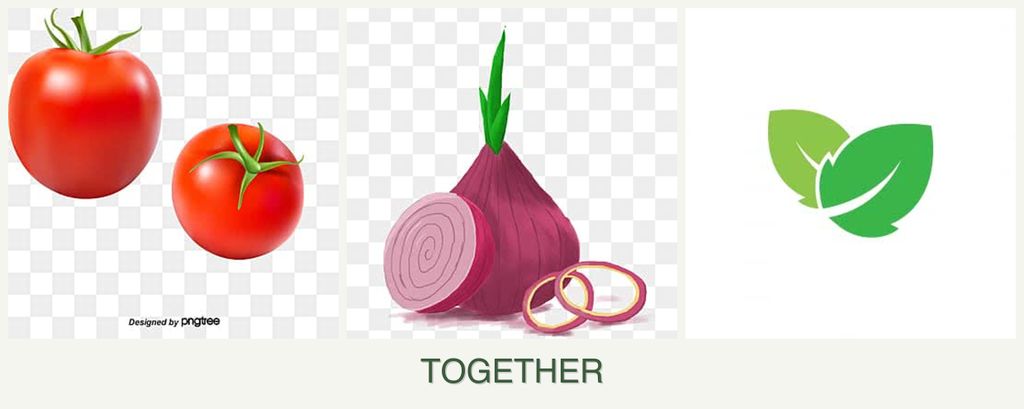 Can you plant tomatoes, onions and mint together?
