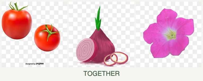 Can you plant tomatoes, onions and petunias together?