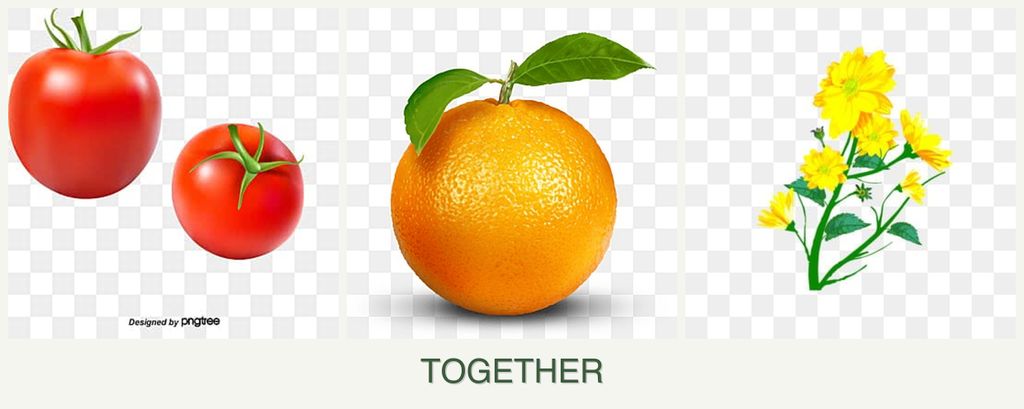 Can you plant tomatoes, oranges and calendula together?
