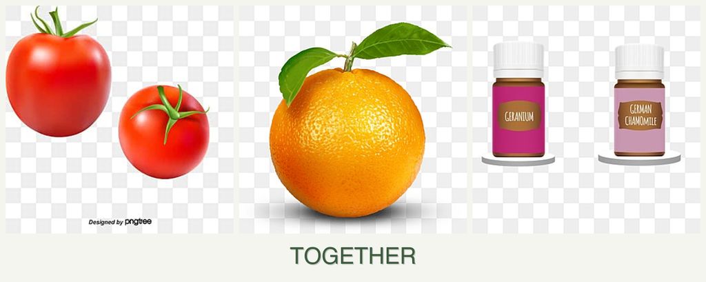 Can you plant tomatoes, oranges and geraniums together?