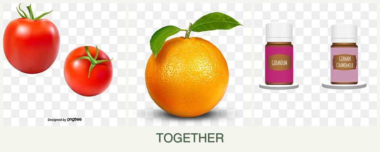 Can you plant tomatoes, oranges and geraniums together?