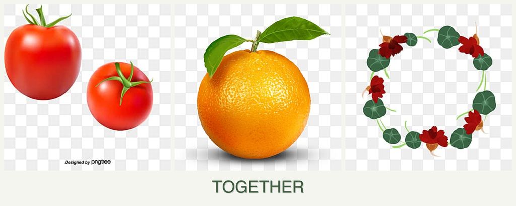 Can you plant tomatoes, oranges and nasturtiums together?