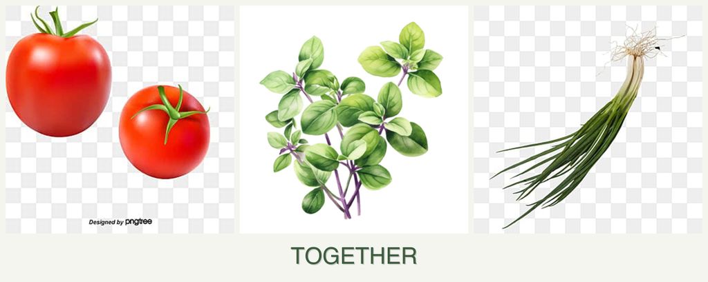 Can you plant tomatoes, oregano and chives together?