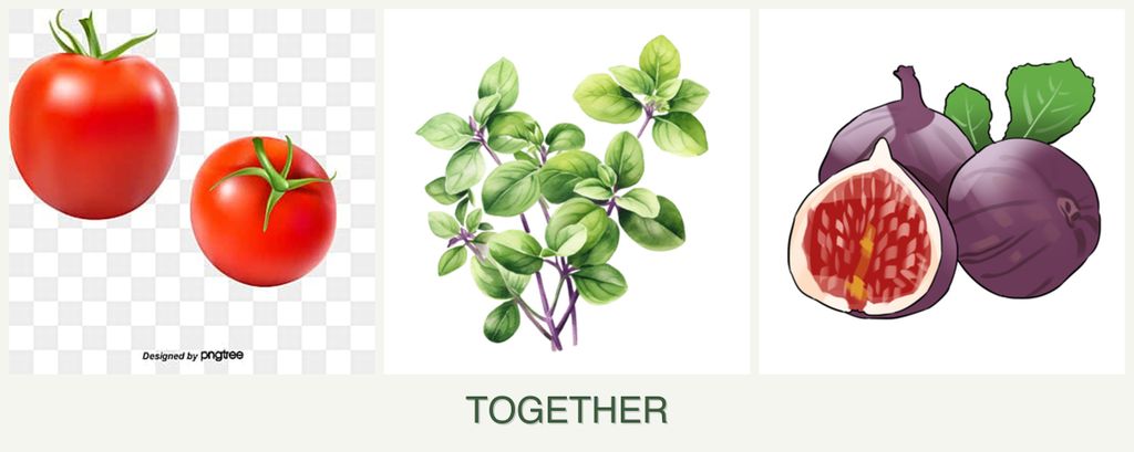 Can you plant tomatoes, oregano and figs together?