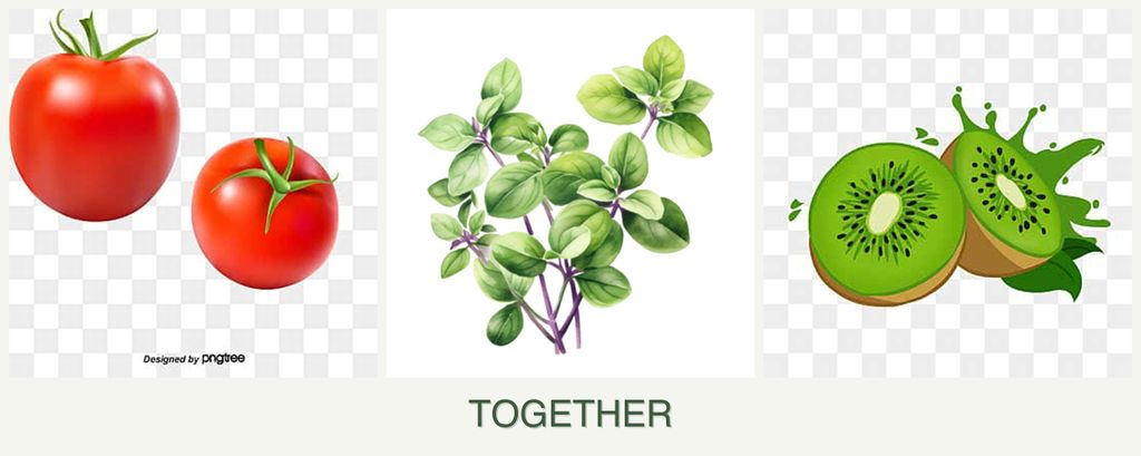Can you plant tomatoes, oregano and kiwi together?