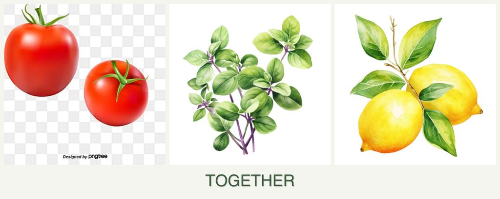Can you plant tomatoes, oregano and lemons together?