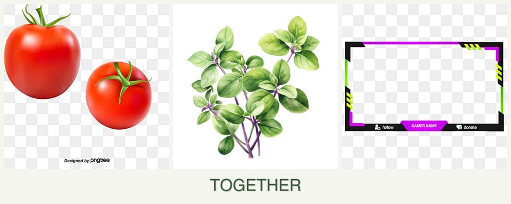Can you plant tomatoes, oregano and limes together?