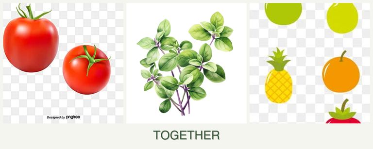 Can you plant tomatoes, oregano and pears together?