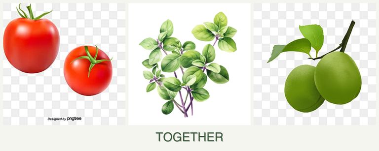 Can you plant tomatoes, oregano and plums together?
