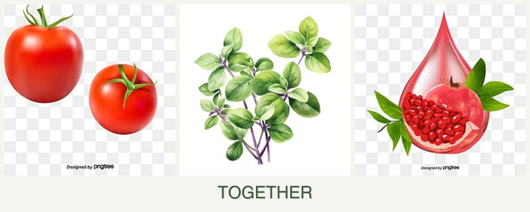 Can you plant tomatoes, oregano and pomegranates together?