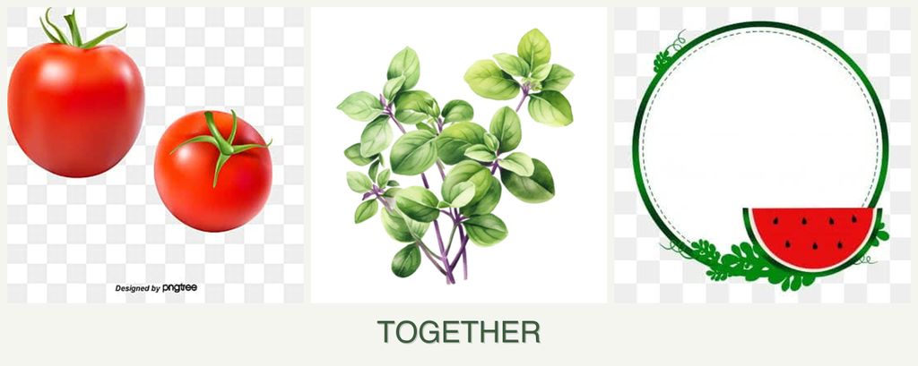 Can you plant tomatoes, oregano and watermelons together?