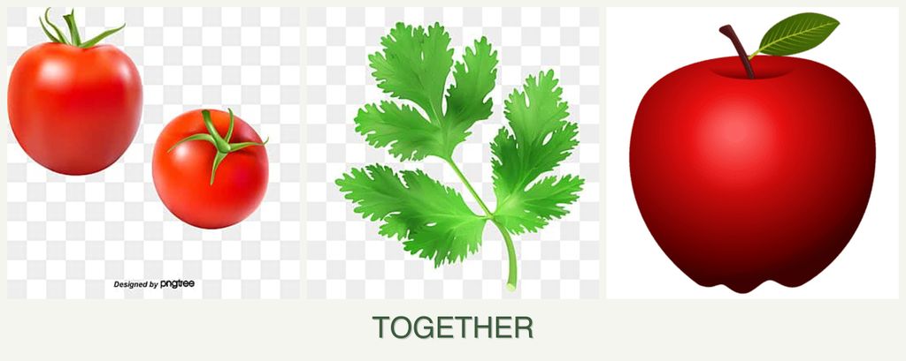 Can you plant tomatoes, parsley and apples together?