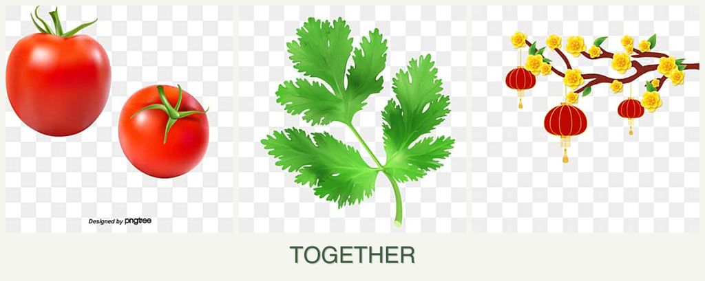 Can you plant tomatoes, parsley and apricots together?