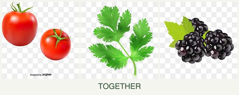 Can you plant tomatoes, parsley and blackberries together?