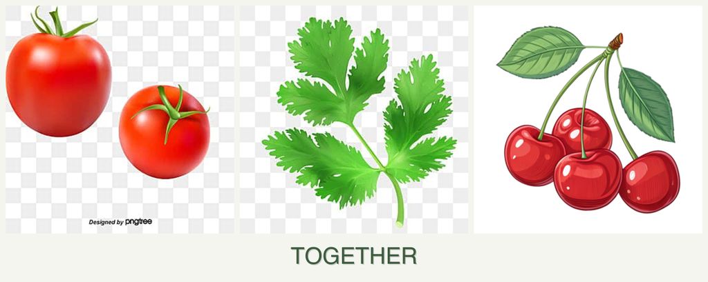 Can you plant tomatoes, parsley and cherries together?