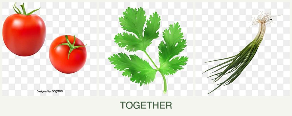 Can you plant tomatoes, parsley and chives together?