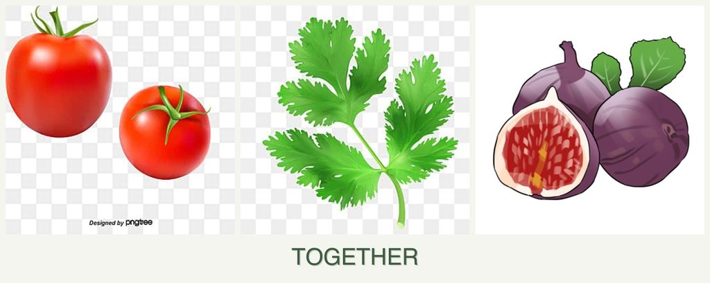 Can you plant tomatoes, parsley and figs together?