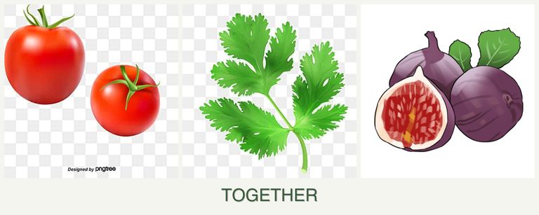 Can you plant tomatoes, parsley and figs together?