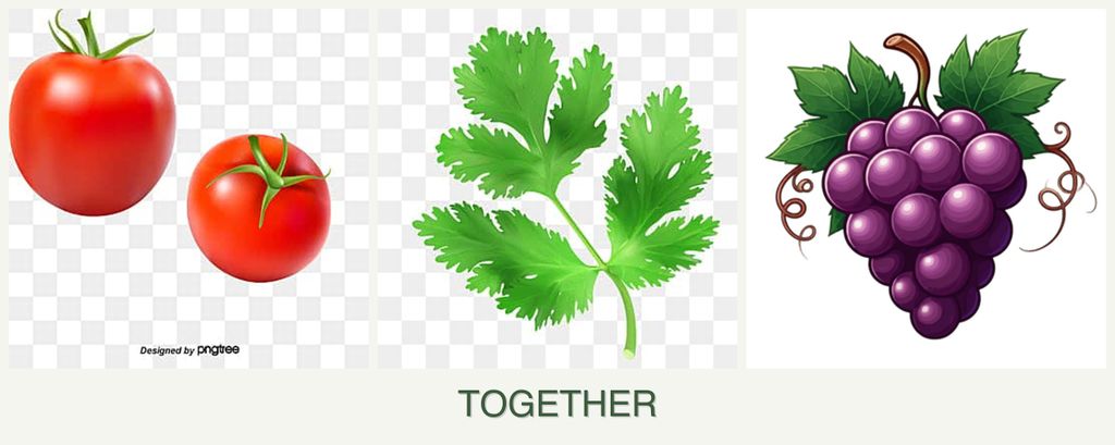 Can you plant tomatoes, parsley and grapes together?