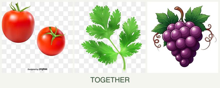 Can you plant tomatoes, parsley and grapes together?