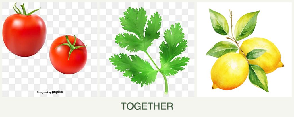 Can you plant tomatoes, parsley and lemons together?