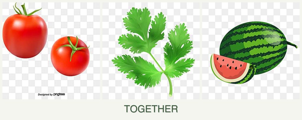 Can you plant tomatoes, parsley and melons together?