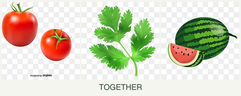 Can you plant tomatoes, parsley and melons together?