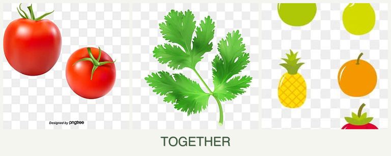 Can you plant tomatoes, parsley and pears together?
