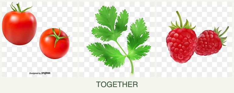 Can you plant tomatoes, parsley and raspberries together?