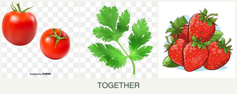 Can you plant tomatoes, parsley and strawberries together?