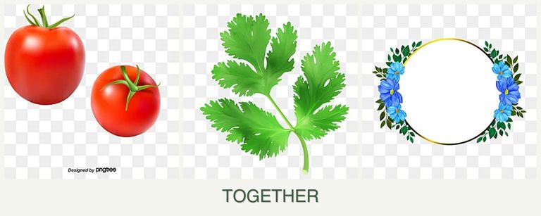 Can you plant tomatoes, parsley and zinnias together?