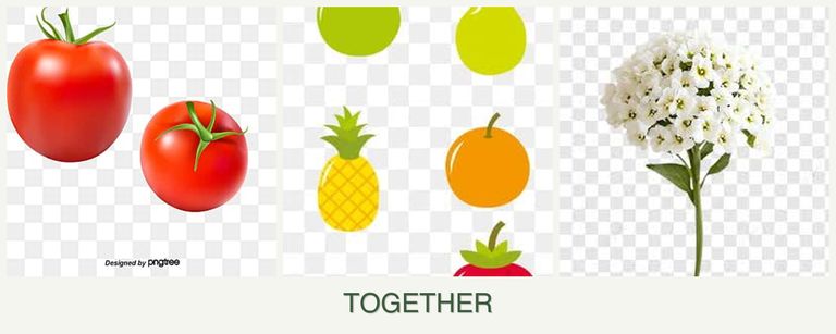 Can you plant tomatoes, pears and alyssum together?