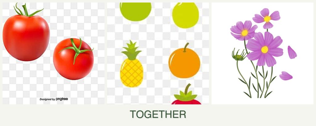 Can you plant tomatoes, pears and cosmos together?
